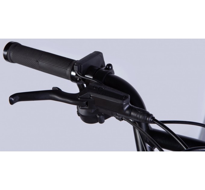 Велосипед AL 20" Dorozhnik eADAMANT HDD 48V 17.5Аh 750W 2025 срiблястий