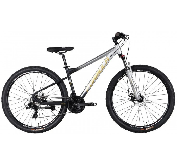 Велосипед AL 26" Formula F-1 DD CS 2026 сріблясто-чорний