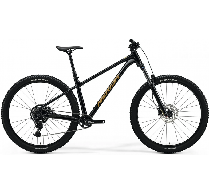 Велосипед 29" Merida BIG.TRAIL 300 2025 BLACK(BROWN)