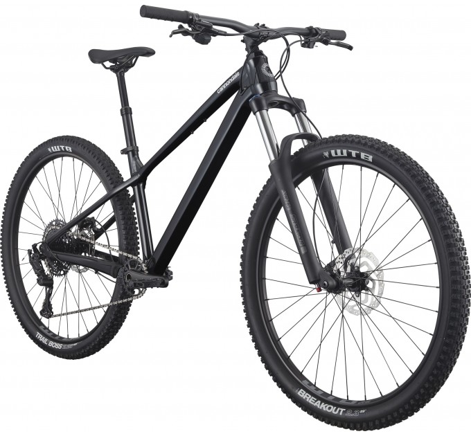 Велосипед 29" Cannondale HABIT HT 3 2025 BPL