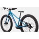 Велосипед 24" Cannondale TRAIL Plus 2025 DTE