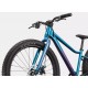Велосипед 24" Cannondale TRAIL Plus 2025 DTE