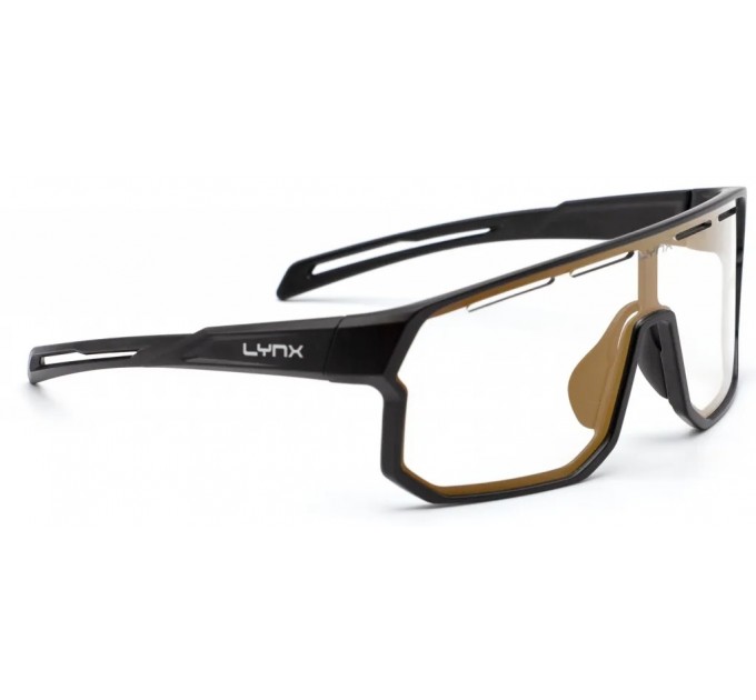 Окуляри LYNX Bismarck PH B, matt black/#1 smoke photochromic with gold revo