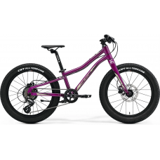 Велосипед 20+" Merida MATTS J.20+ UN 2023 фиолетовый