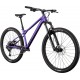 Велосипед 29" GT Zaskar LT Comp 2025 PUR