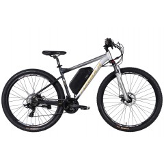 Велосипед AL 29" Formula eF-1 DD CS 48V 17.5Ah 500W 2026 сріблясто-чорний