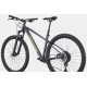 Велосипед 29" Cannondale TRAIL 1 2026 сірий