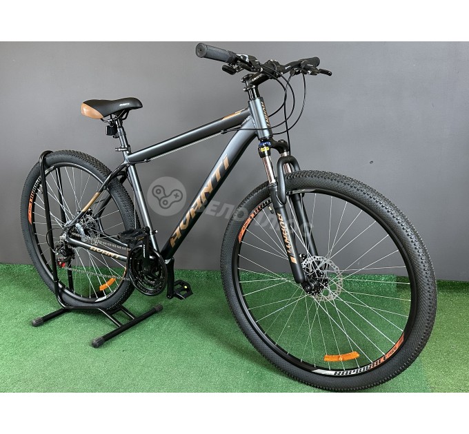 Велосипед 29" Avanti SMART 2025 сіро-бронзовий