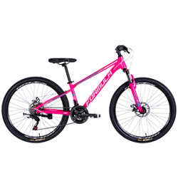 AL 26" Formula MOTION DD FR 2025